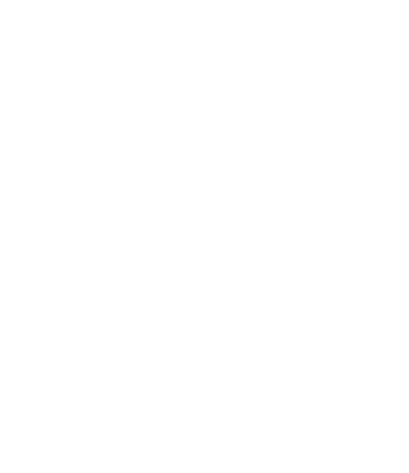 New York Liberty